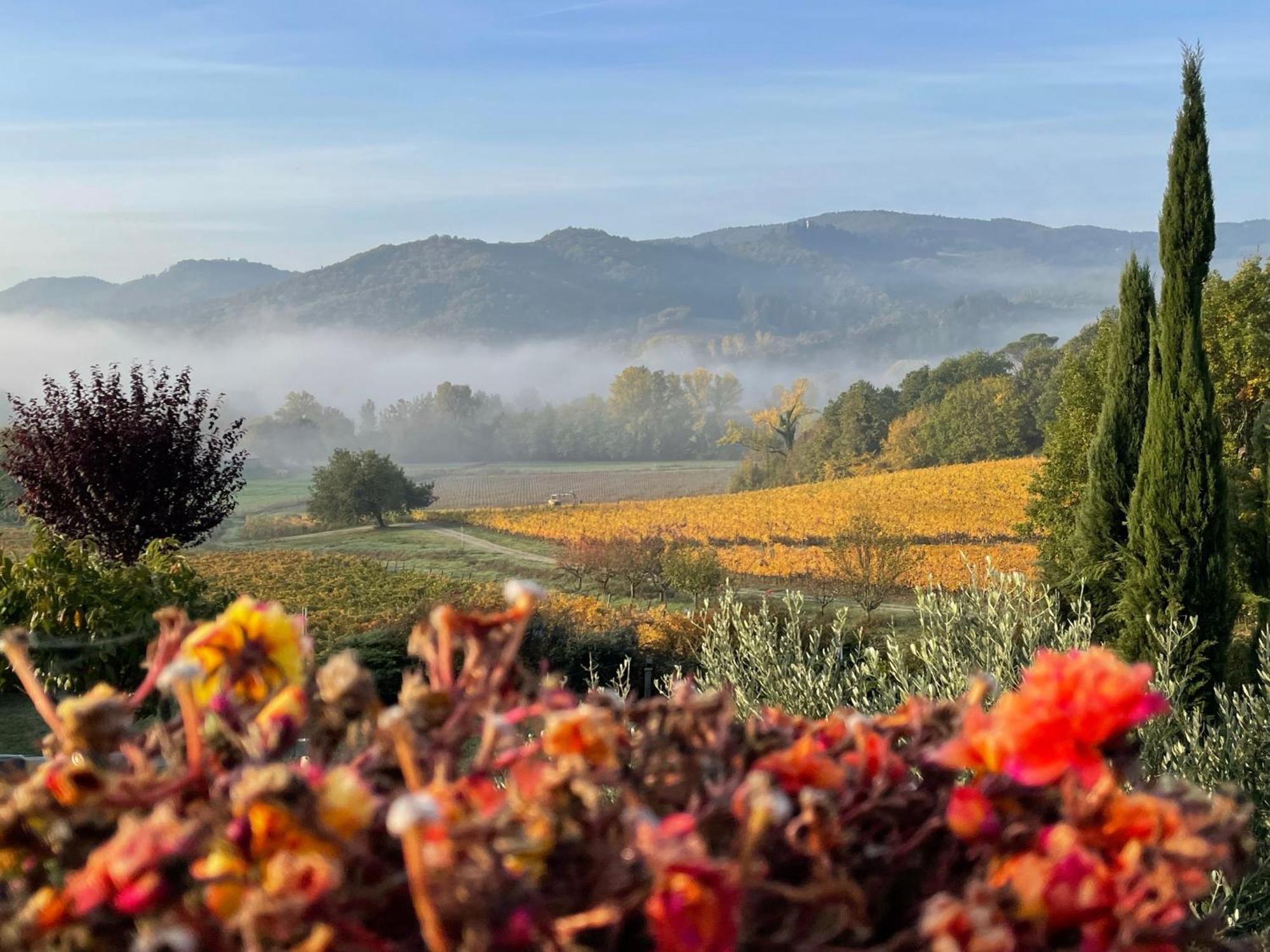Incantevole Mugello สการ์เปริอา ภายนอก รูปภาพ